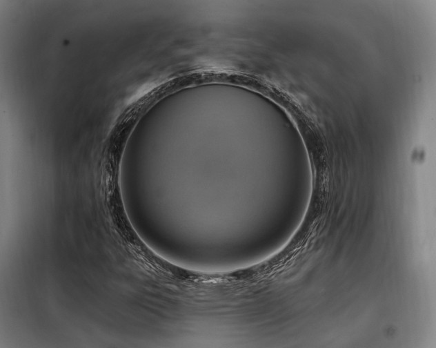 X0000098071303200804041116