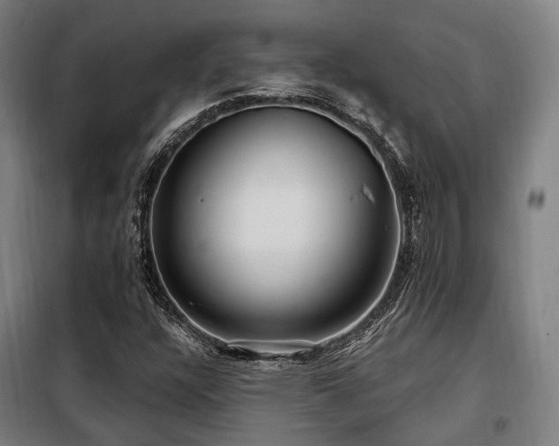X0000098071304200804041116