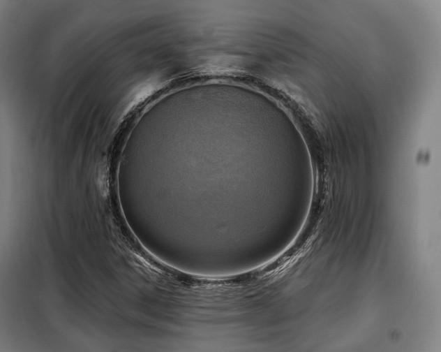 X0000098071306200804041116