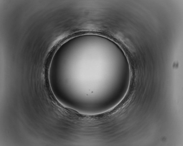 X0000098071307200804041116