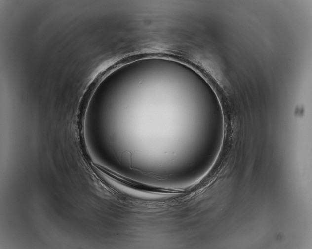X0000098071308200804041116
