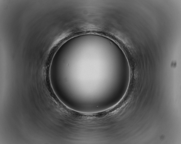 X0000098071309200804041116