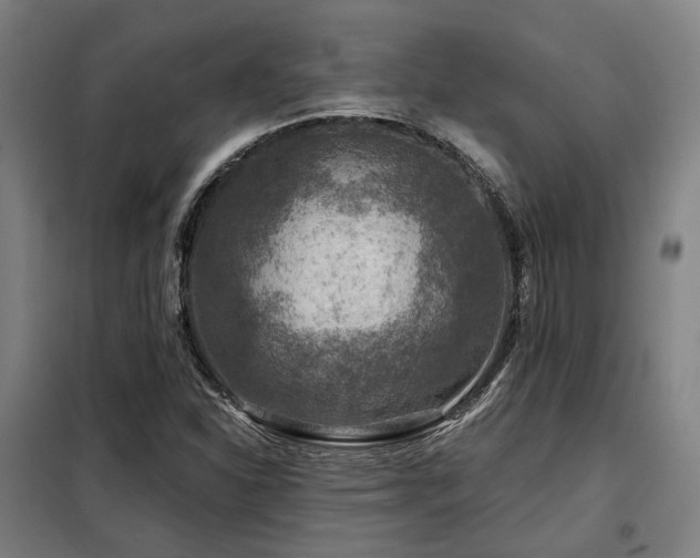 X0000098071310200804041116