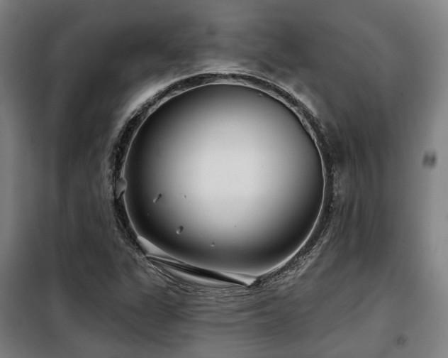 X0000098071311200804041116