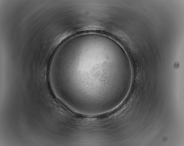 X0000098071313200804041116