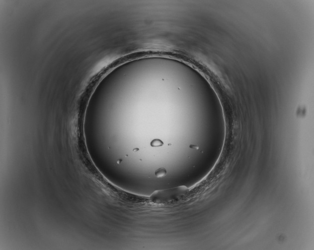 X0000098071315200804041116