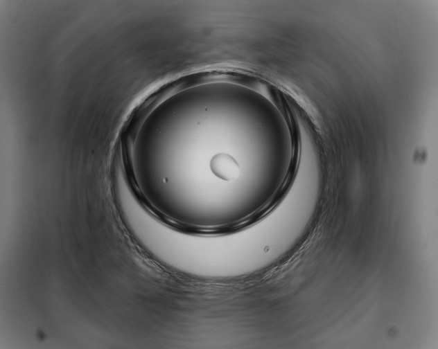 X0000098071316200804041116