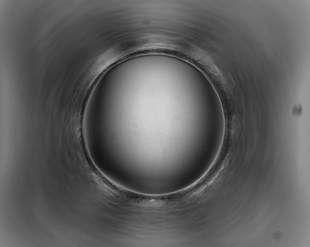 X0000098071321200804041116