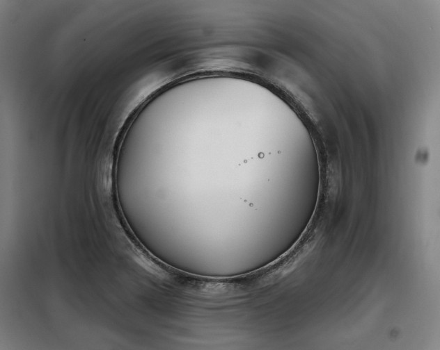 X0000098071322200804041116