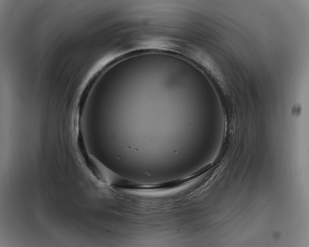 X0000098071323200804041116