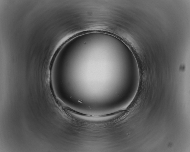 X0000098071324200804041116