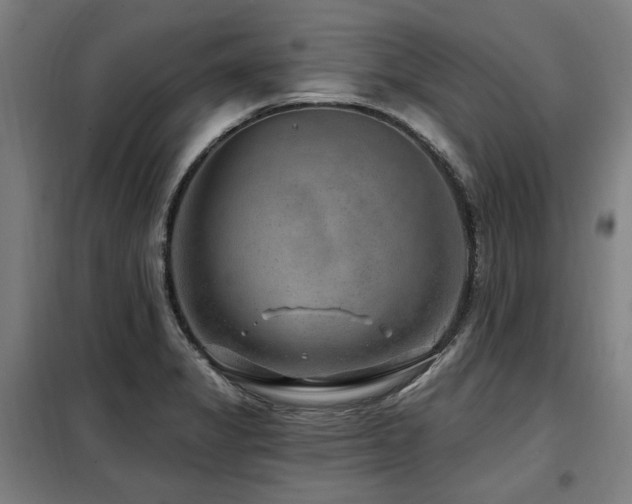 X0000098071325200804041116