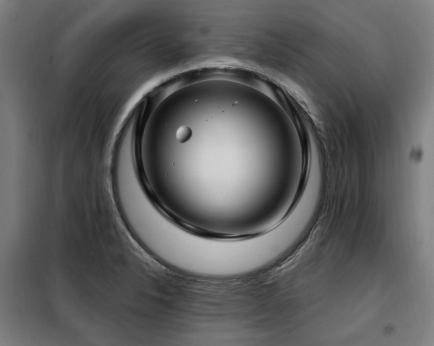 X0000098071326200804041116