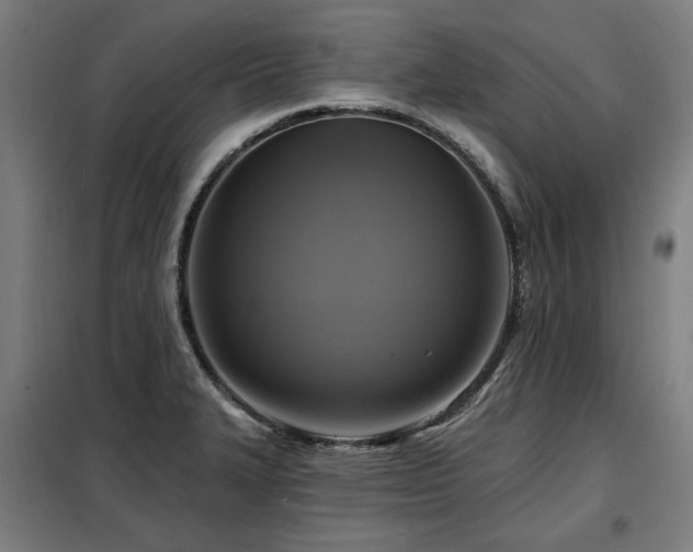 X0000098071327200804041116