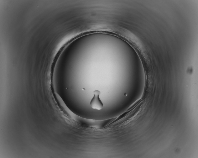 X0000098071328200804041116