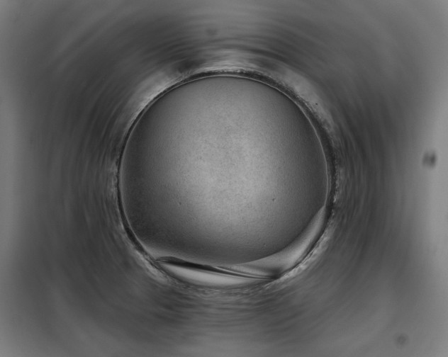 X0000098071329200804041116