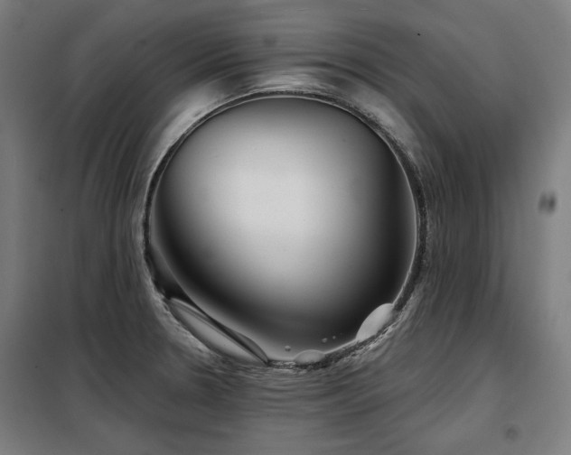 X0000098071330200804041116