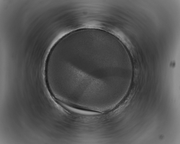 X0000098071331200804041116