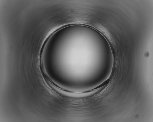 X0000098071332200804041116