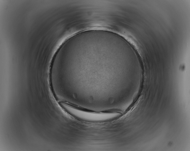 X0000098071333200804041116