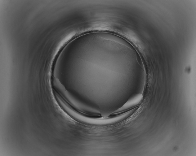 X0000098071334200804041116