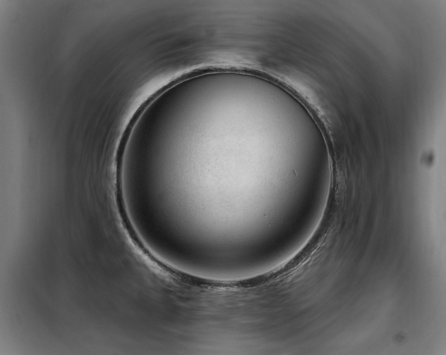 X0000098071335200804041116