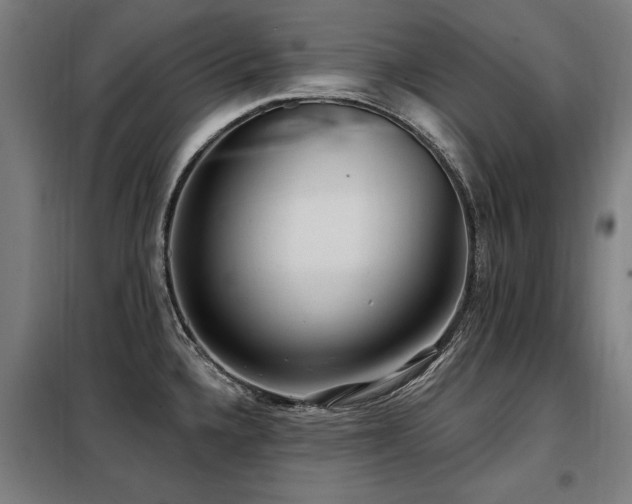 X0000098071336200804041116