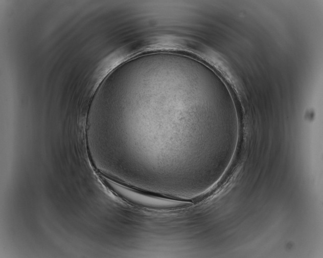 X0000098071337200804041116