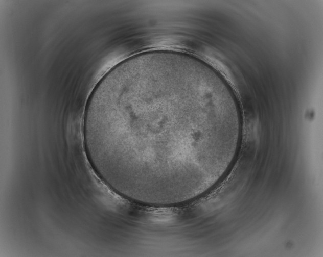 X0000098071338200804041116