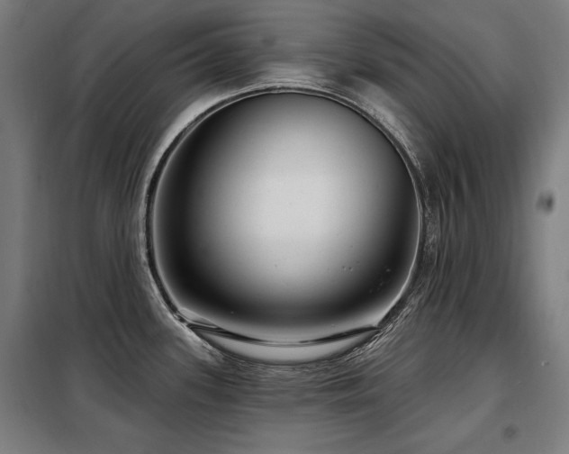 X0000098071339200804041116