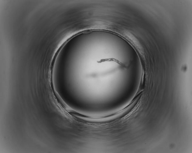X0000098071340200804041116