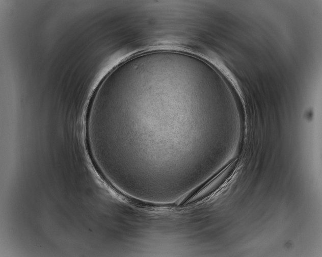 X0000098071341200804041116
