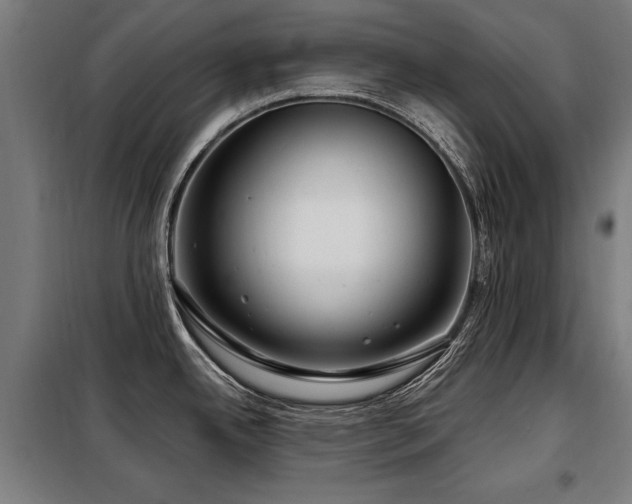 X0000098071342200804041116