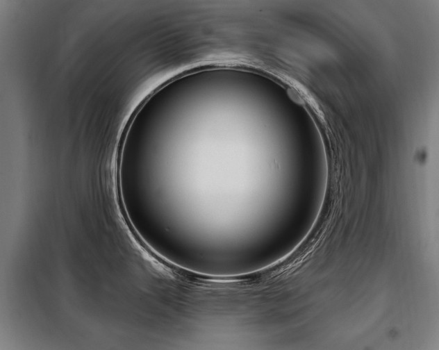 X0000098071343200804041116