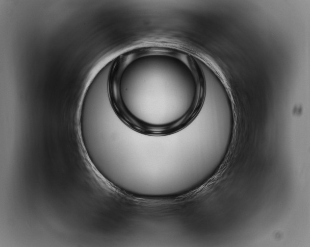 X0000098071344200804041116