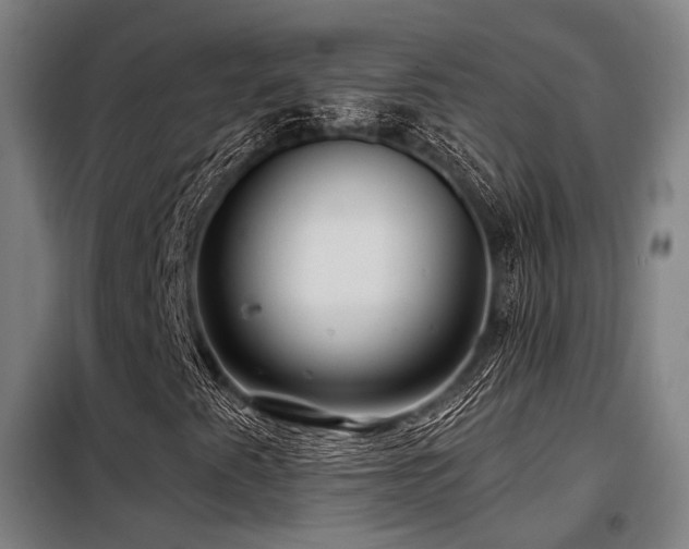 X0000098071345200804041116