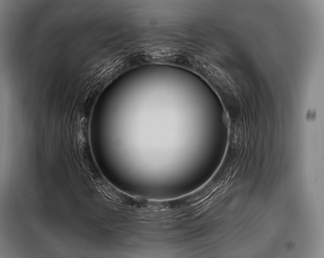 X0000098071346200804041116