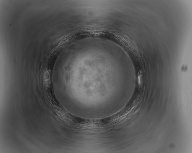 X0000098071347200804041116