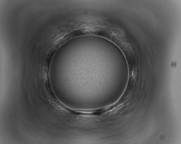 X0000098071348200804041116