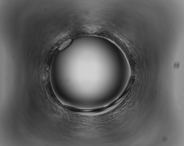 X0000098071349200804041116