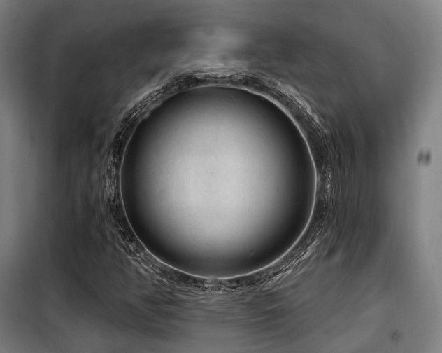 X0000098071350200804041116