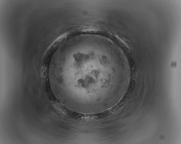 X0000098071351200804041116