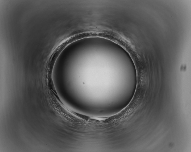 X0000098071352200804041116