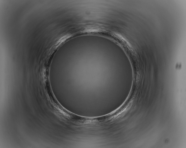 X0000098071353200804041116