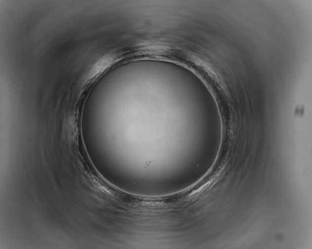 X0000098071354200804041116