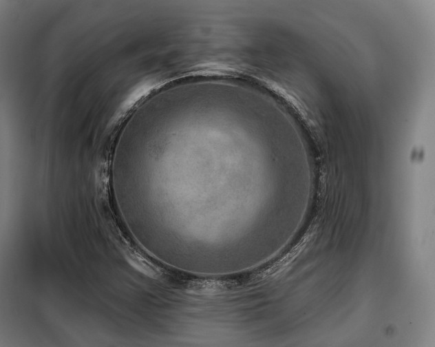 X0000098071355200804041116