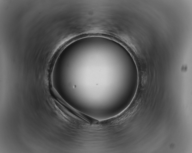 X0000098071356200804041116
