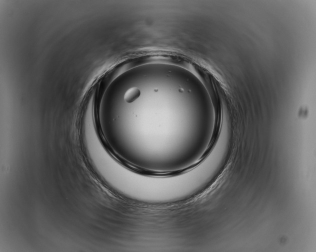 X0000098071357200804041116