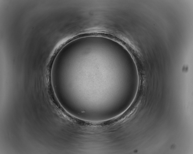 X0000098071358200804041115