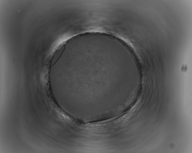 X0000098071359200804041115